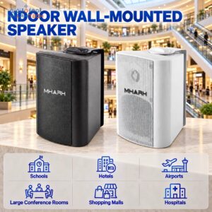 نظام إذاعة جدارية خارجي احترافي بهيكل معدني وبلاستيك – معتمد RoHS